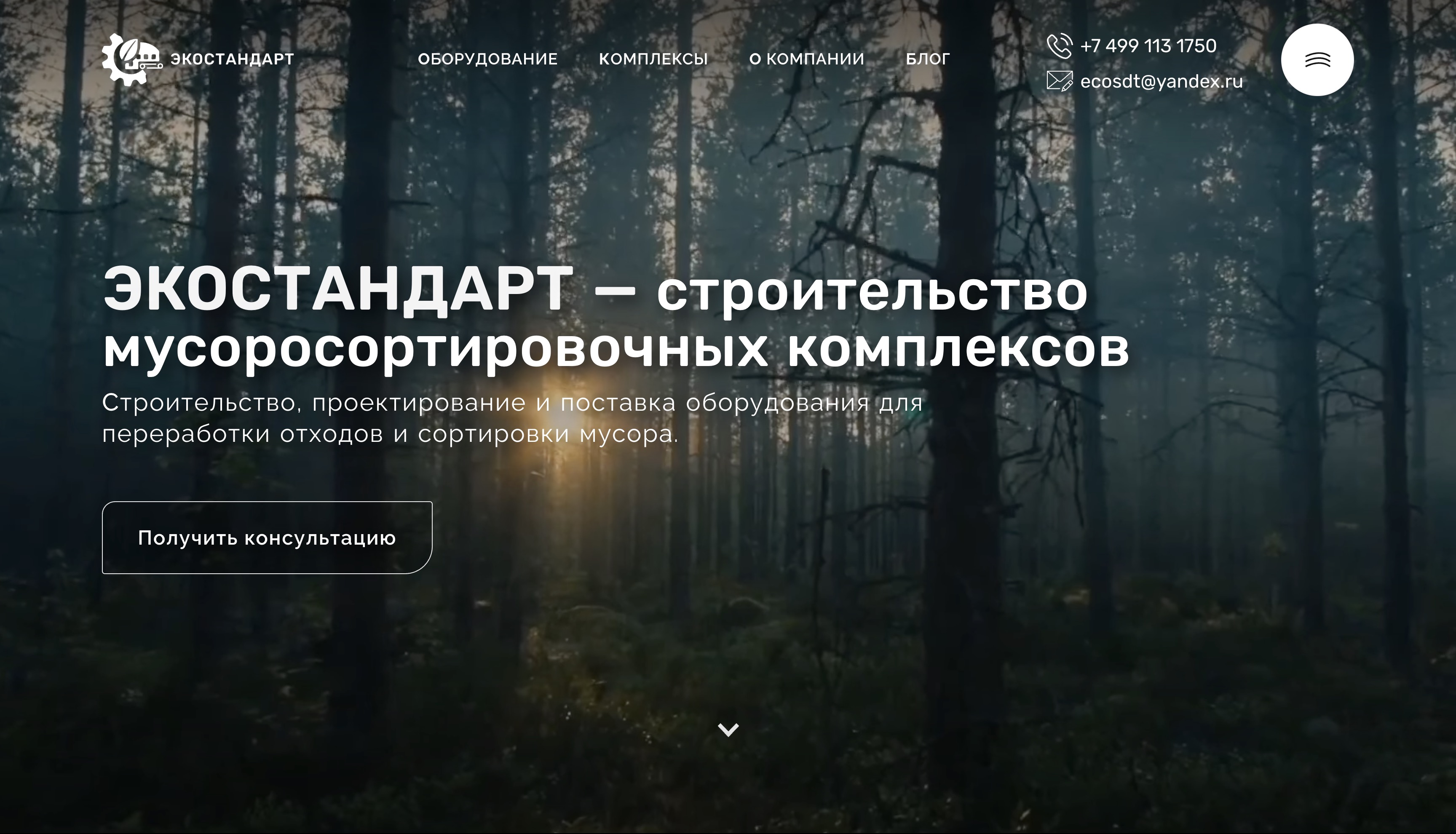 Ecostandart — широкий экран сайта с визуальной системой